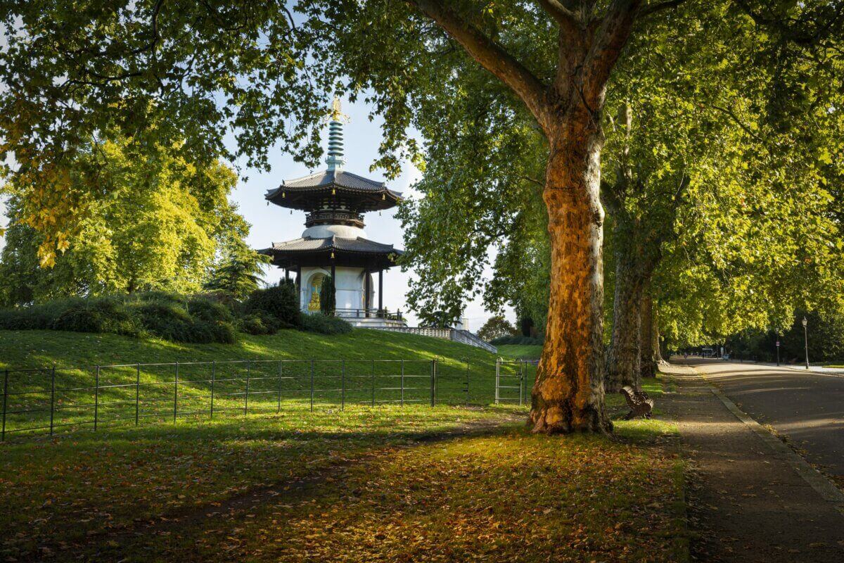 Pagoda, park.
