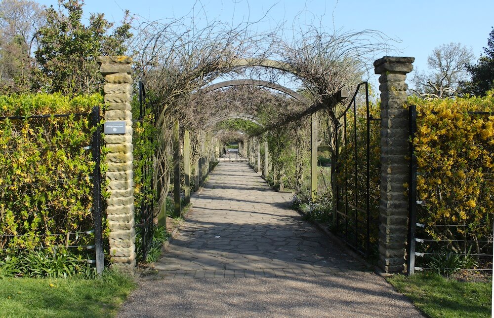 A pathway leading to a garden.