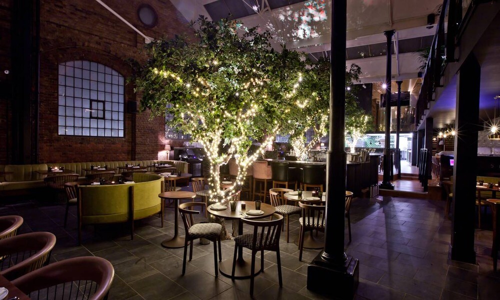 A restaurant with a tree in the middle of it.