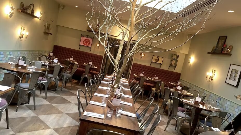 A restaurant with tables and chairs and a tree.