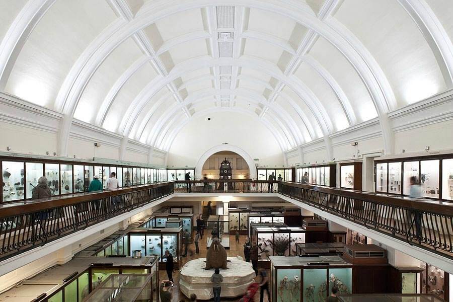 The inside of a museum with a lot of glass cases.
