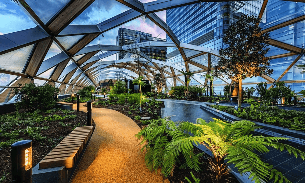 A garden in the middle of a building at dusk.