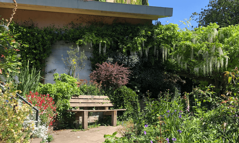 A bench in a garden.