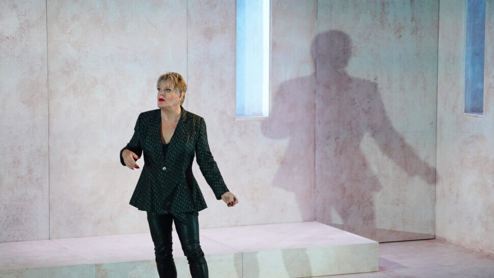 A performer on stage with a prominent shadow cast on the backdrop.