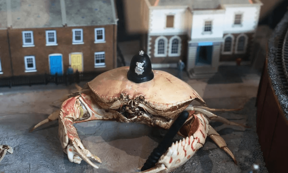 A crab wearing a miniature police helmet in front of a model town display.